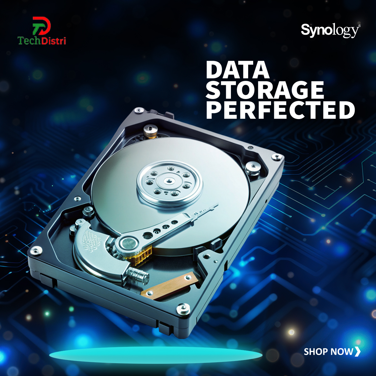 Synology HAT3300 4TB Plus Series SATA HDD 3.5" (HAT3300-4T). 