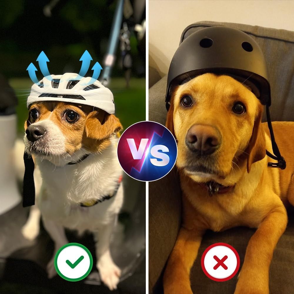for Small Puppy Cat Motorcycle Dog Helmet White Small Cat Helmet with Adjustable Belt Head Protection. 
