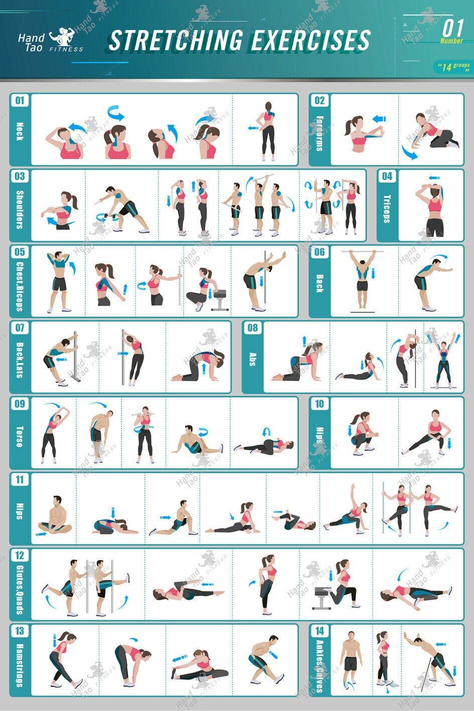 Stretching Exercise Poster BodyBuilding Guide Fitness Gym Chart