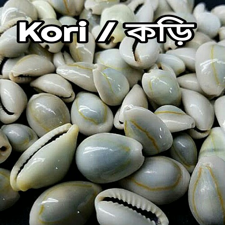 Curry/Kari / Kori ( Natural )40 Pieces - Spice Up Culinary Adventures With Set Of 40 Pieces Of Curry Or Kari - Enhancing The Flavor Of Favorite Dishes. 