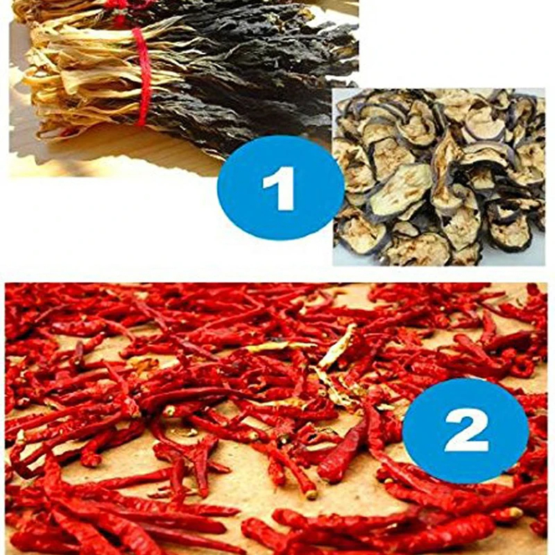 Foldable 4 Layers Drying Net Fish Drying Rack Hanging Vegetable Fish Dishes Dryer Hanger Fishing-Gadget Biz. 