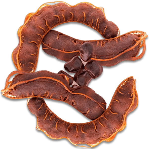 Tamarind Sour / Tetul ( Fresh Quality) -100gm _Paka Tetul-JAR. 