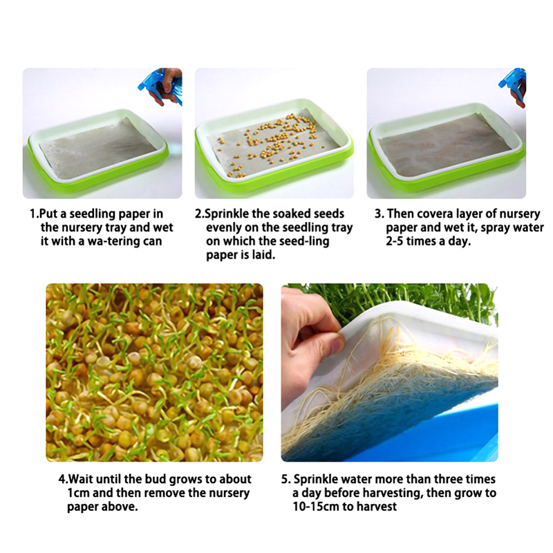 【3C VictoryEagle】Seedling Double-Layer Nursery Tray Hydroponics Basket BDM. 