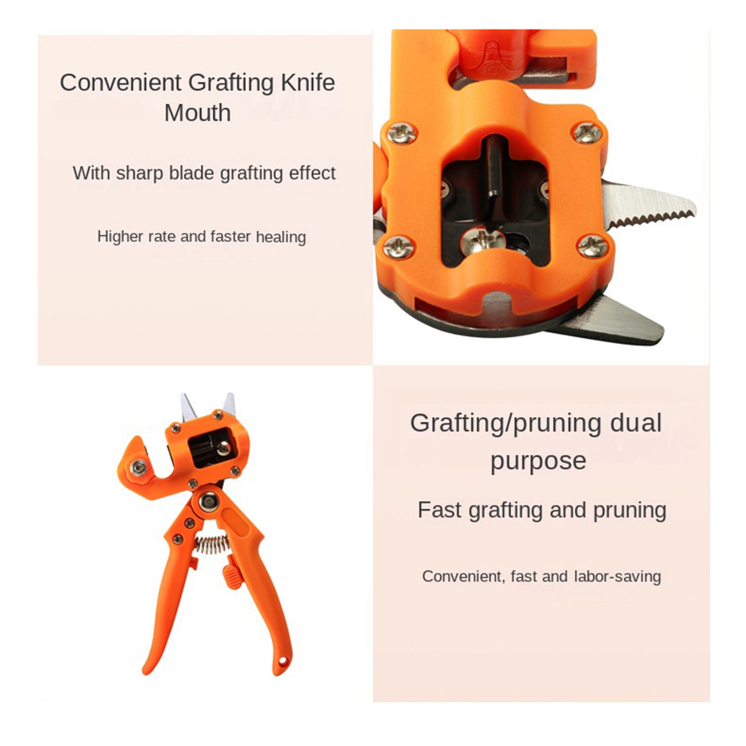 Multifunctional Grafting Scissors for Fruit Trees and Grape Vines. 