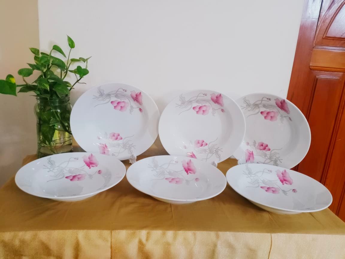 2-Piece Ceramic Dinner Plate Set White With Full Body Flower Print 9 Inch - Elevate Your Dining Experience With This Set Of Two Ceramic Dinner Plates Featuring A Charming Flower Print Design. 