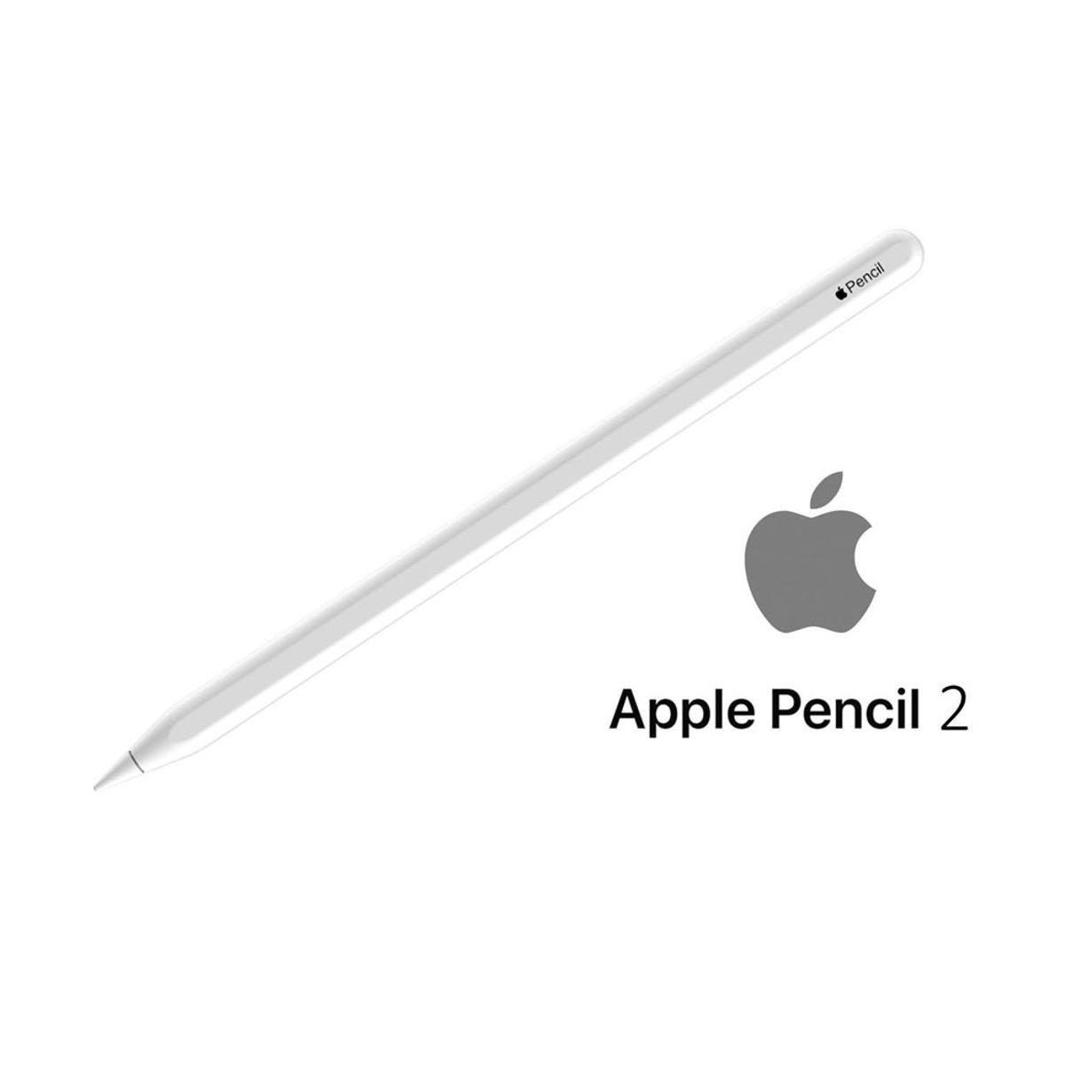 12.9 Inch Second Generation Iphone Apple Pencil Apple Pencil (2nd