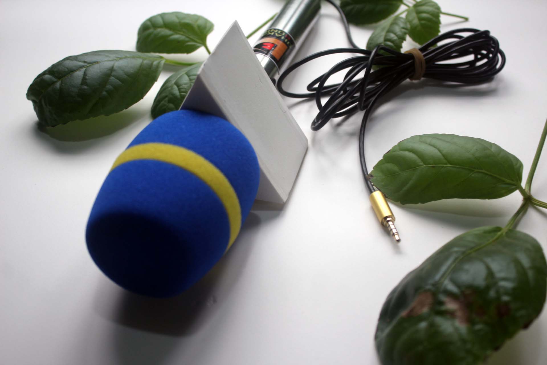 Journalist Microphone for Mobile with Chaina Foam. 
