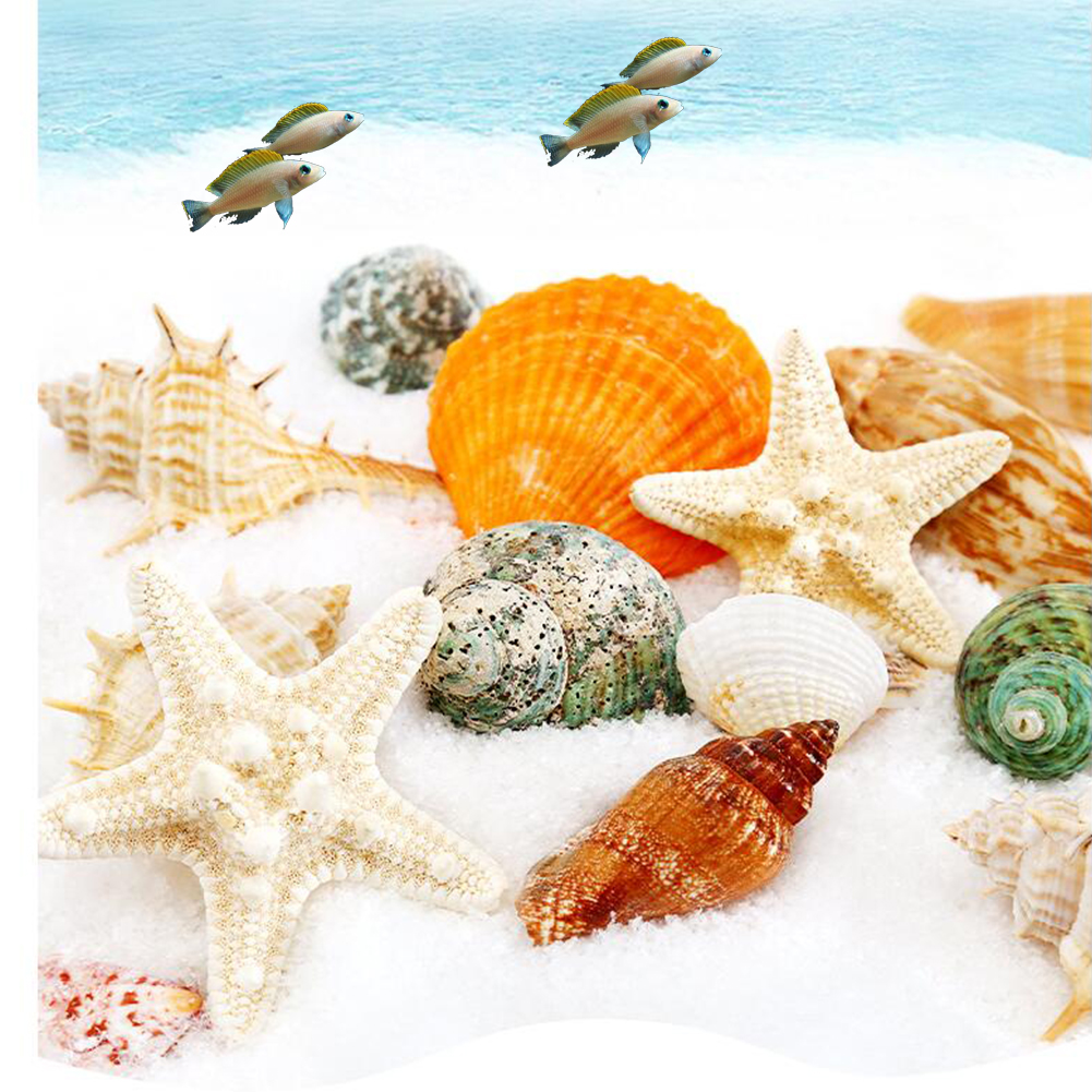 11pcs Hermit Crab Shells Medium Small Growth Turbo Seashells Sea Shell For Hermit Crabs. 