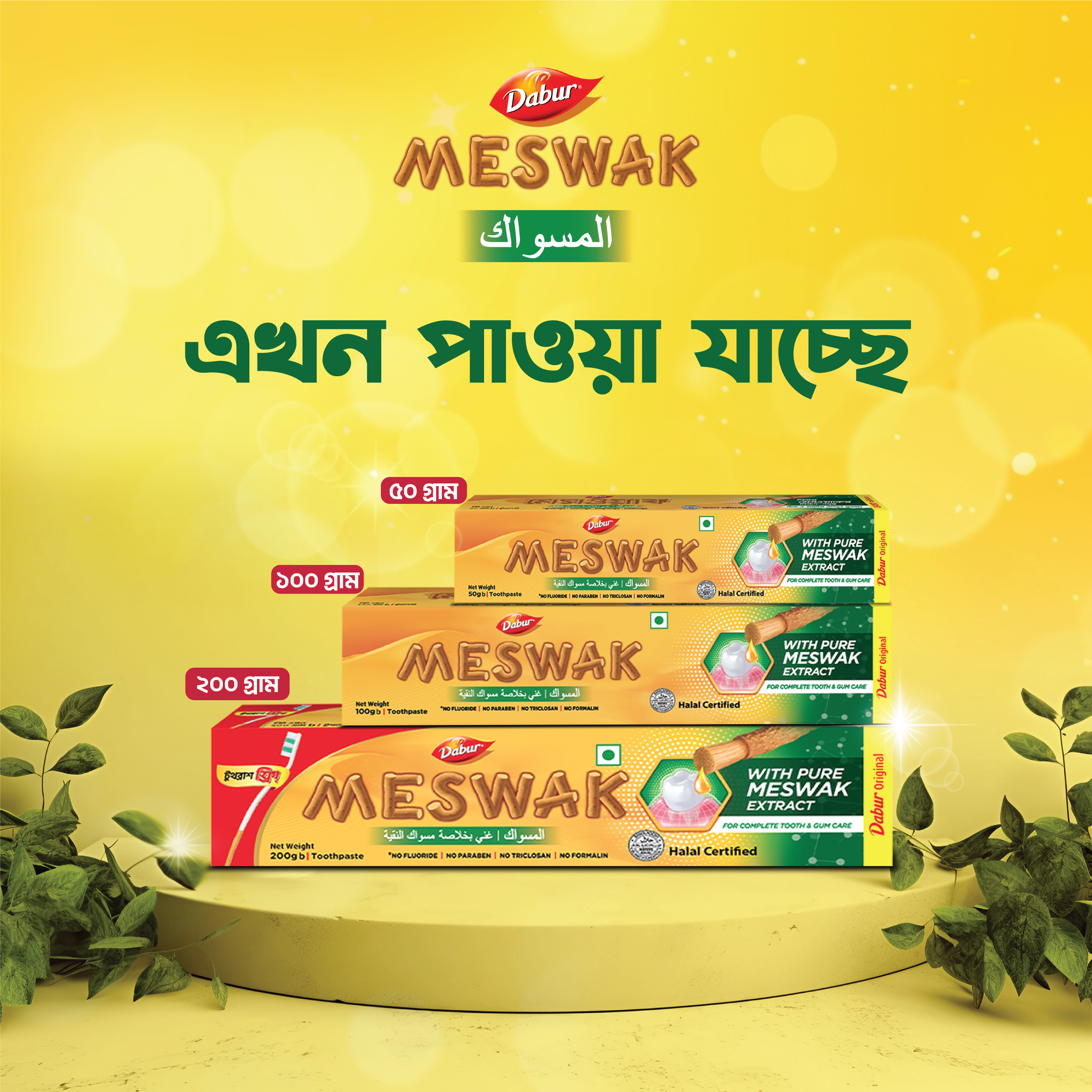 Dabur Meswak Toothpaste 200 gm (Toothbrush Free). 