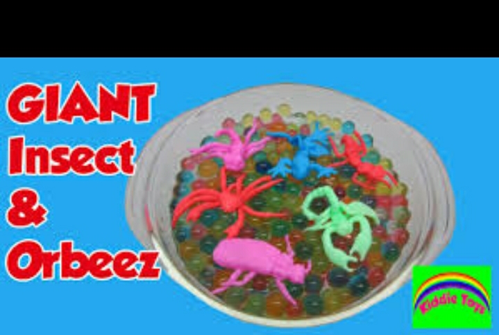 Magic Ball With 1Magic Insect Or Bug ( 1 Pack) - Slime. 