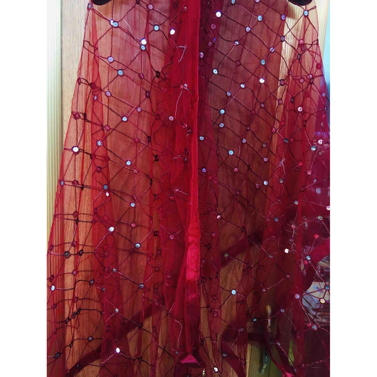Net dupatta (orna only)