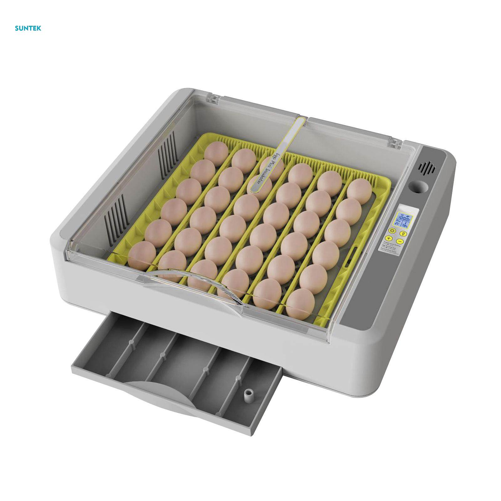 Egg Durable Chicken Quail Eggs for Goose Turkey Quail. 
