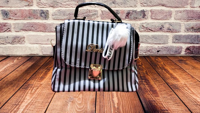 Superlative Trendsetter -Craftsmanship and Trendy -Fashion Ladies Bag for- Progressively Better Remarkable - Disclose Styles & Luxe. 