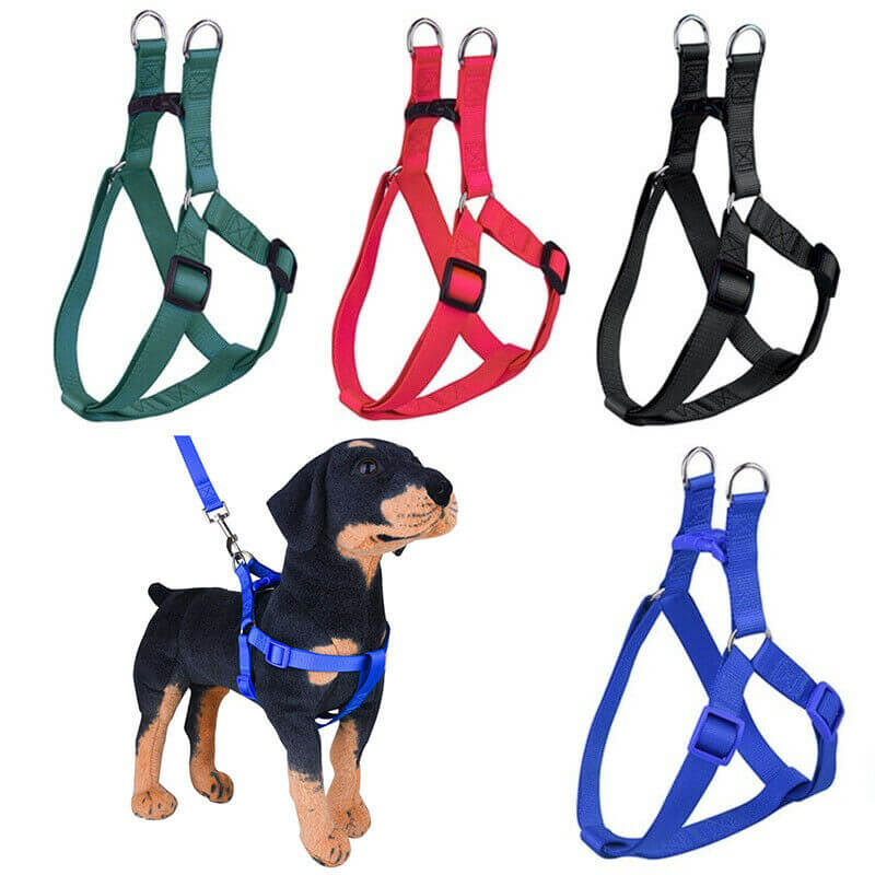 Simple hotsell dog harness