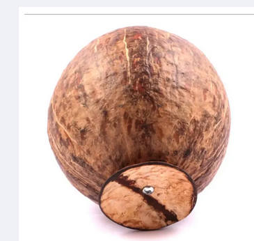 Eco Friendly Handmade Coconut Shell Made Coin Bank Money Saving Bank Coconut She'll Bank. 