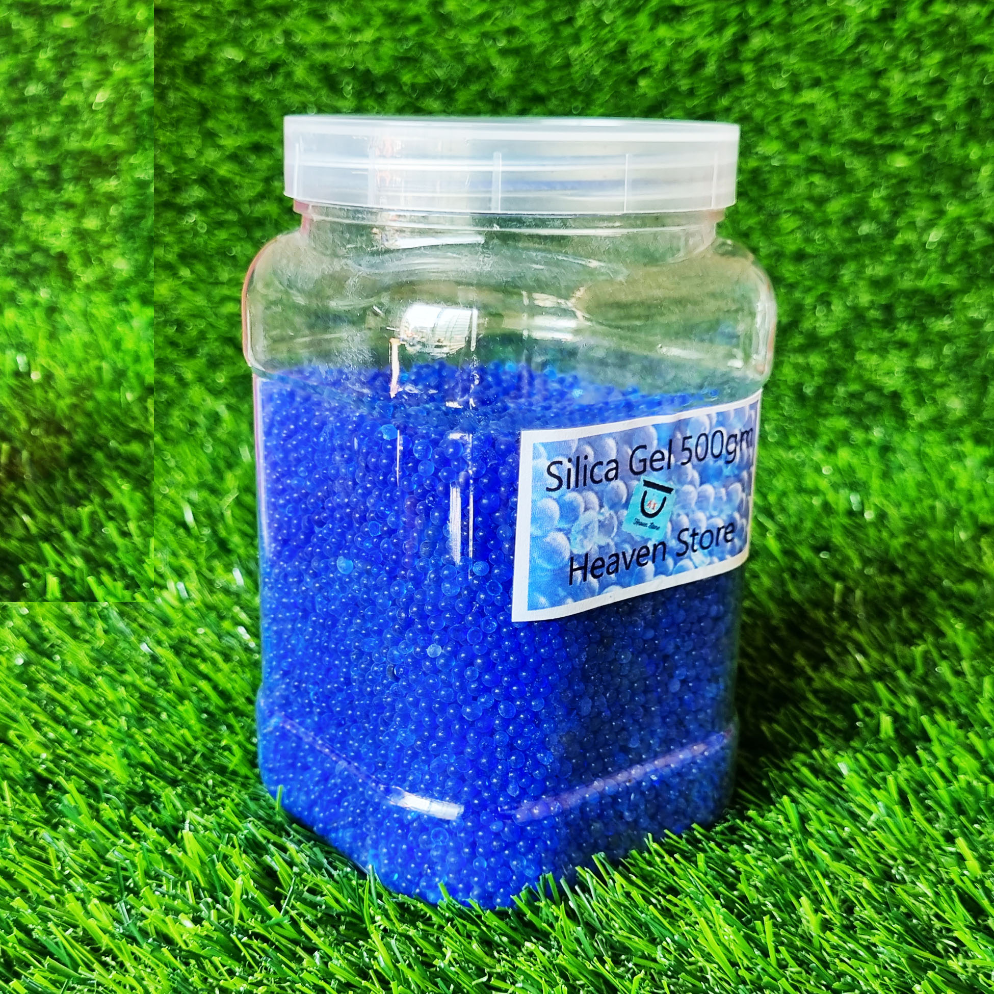 Fotosuratlarda silikon eshaklar