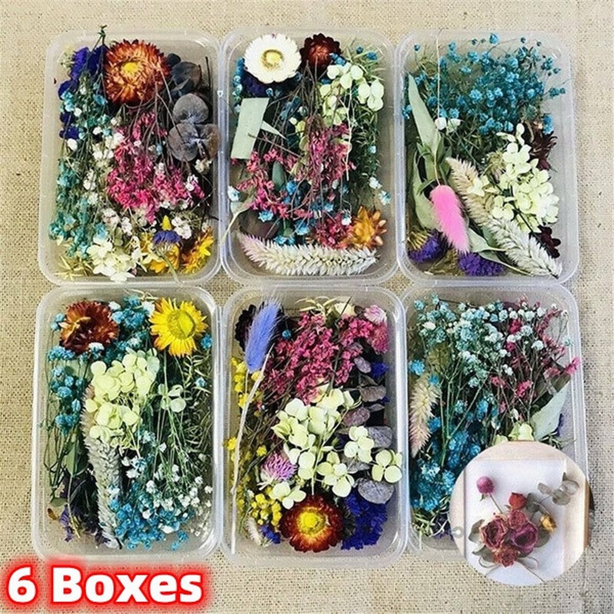 New 6 Boxe Mix Beautiful Real Dried Flower Natural Floral for Art Craft crapbooking Rein Jewelry Craft Making Epoxy Mold Filling