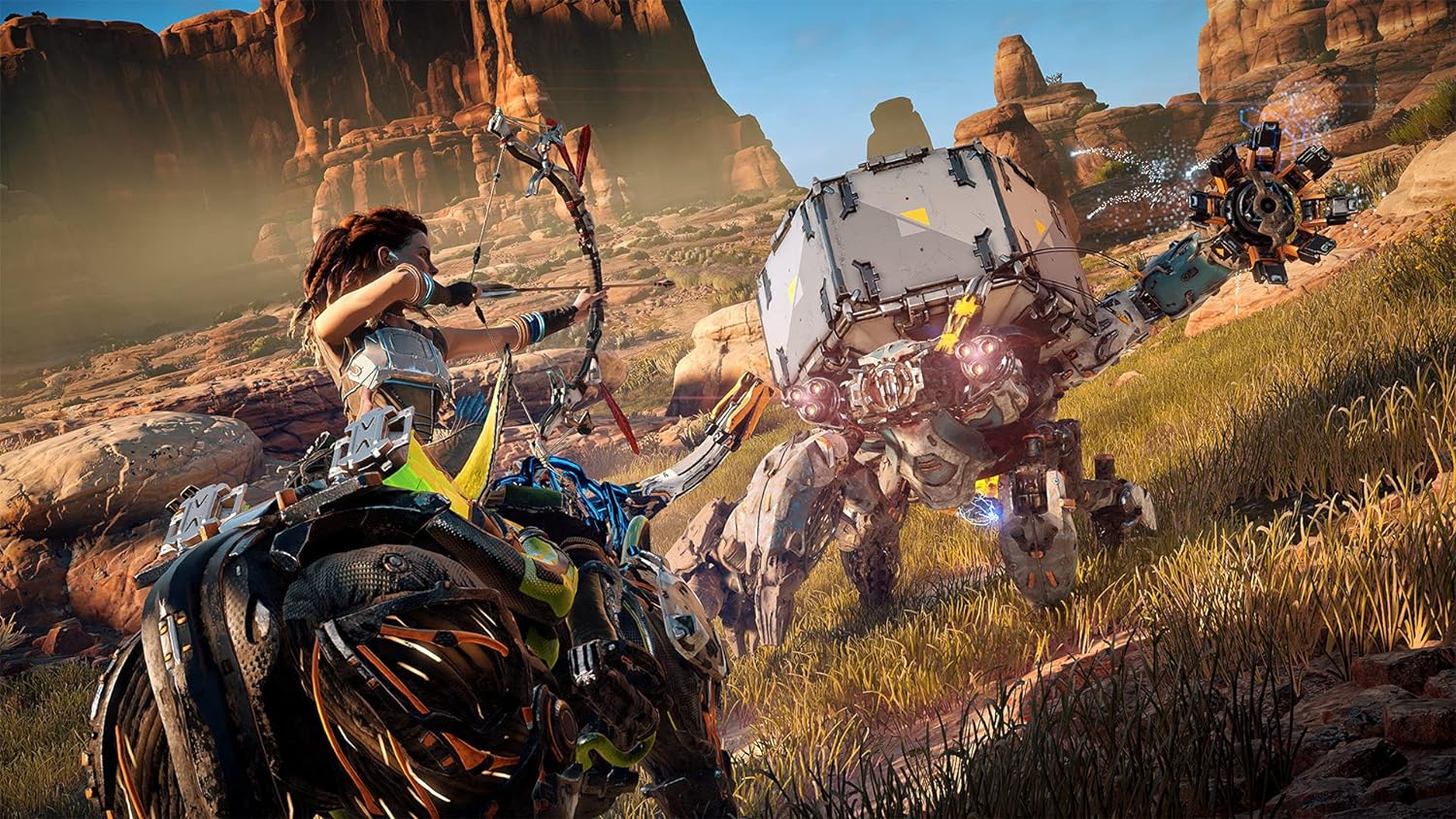 Horizon Zero Dawn: Complete Edition on PS4. 