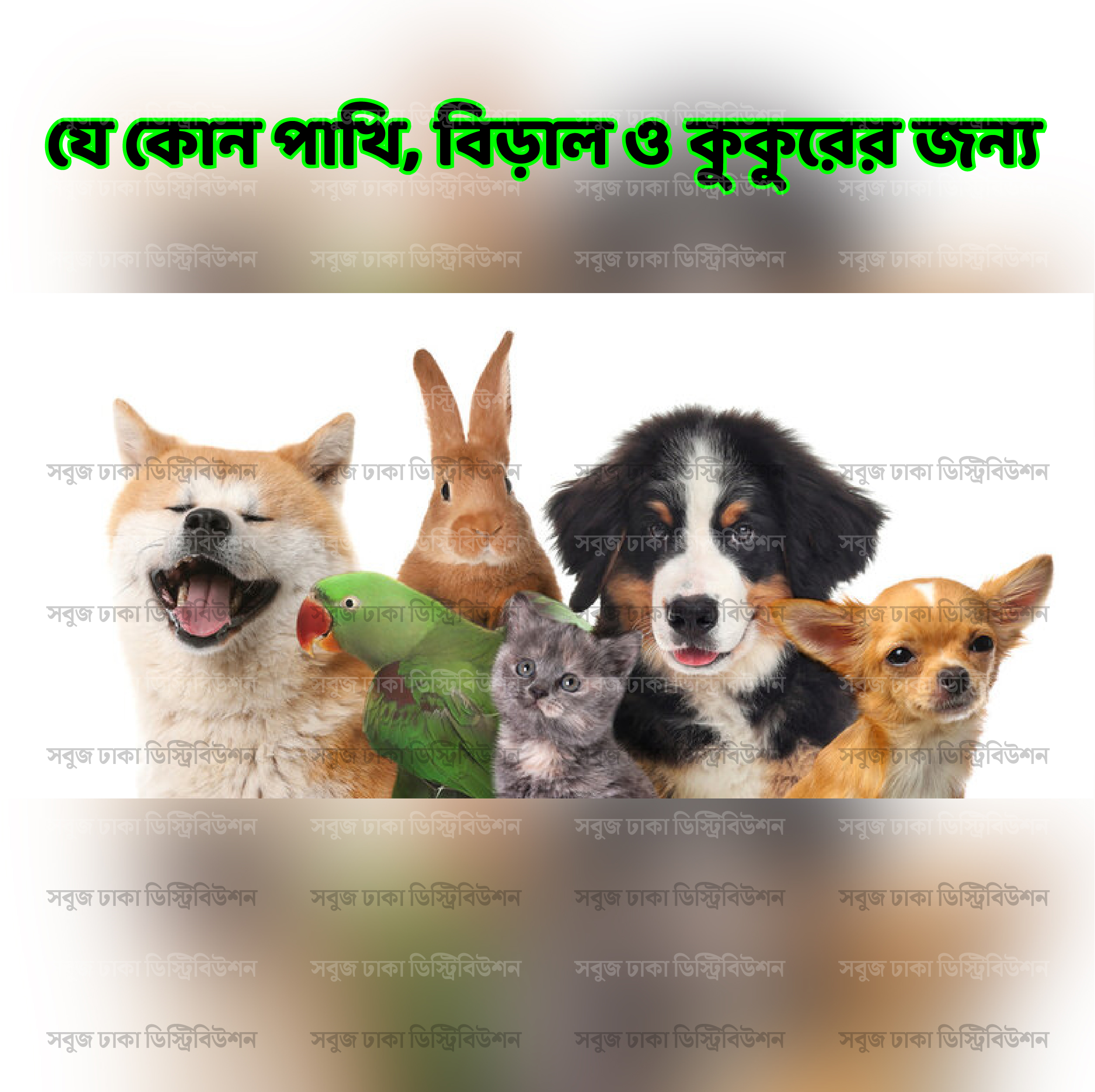 DOXY-A VET POWDER 10gm Pack (Pakhir Thanda Jor er jonno). 