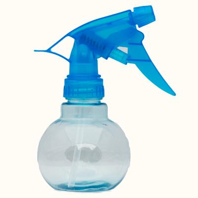 where can i buy a small spray bottle