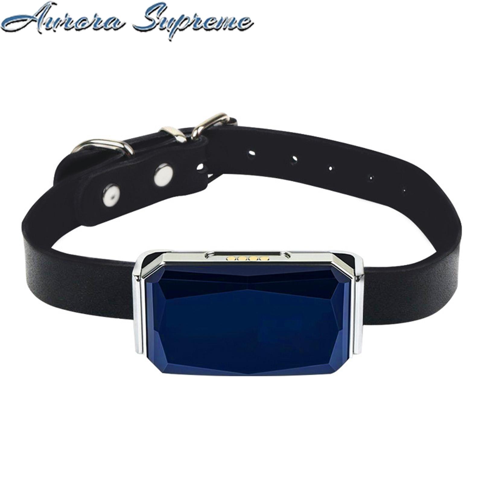 Pet Tracker Live Tracking Real-Time Tracking Pet Dog Cat Locator