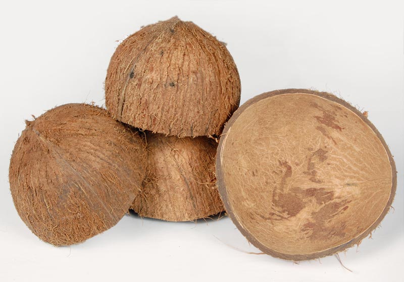 Coconut Shell 10 pieces for showpieces making coconut hard shell. 