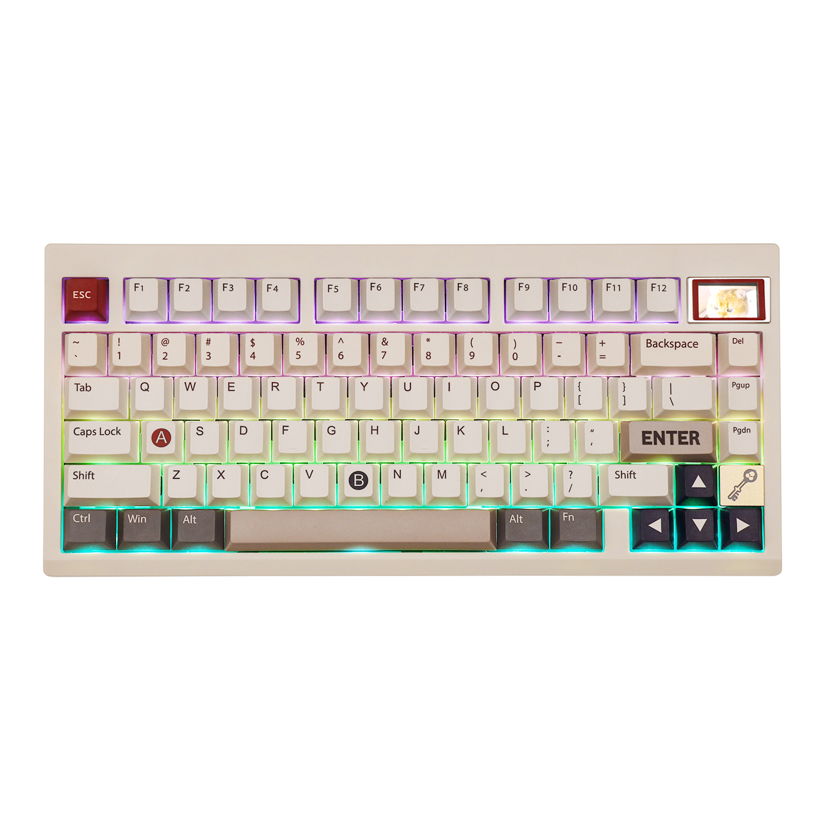 EPOMAKER TH80 PRO V2 Wireless Gaming Keyboard with RGB Screen 75% Bluetooth/2.4Ghz/USB-C VIA Programmable Gasket Keyboard. 