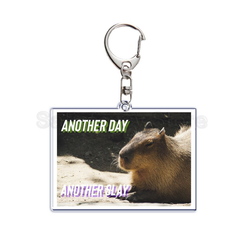 Fun Capybara Acrylic Keychain This Man Ate My Son Ok I Pull Up Letter Double Sided Key Chain Key Ring Keychains for Friends Gift. 