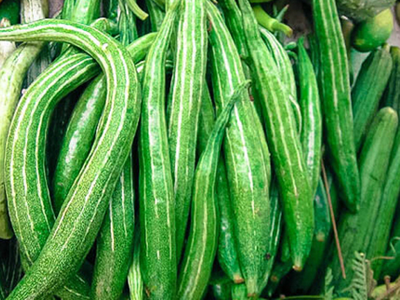 Kichkina qizining ogzidagi sik Kichkina qizining ogzidagi sik