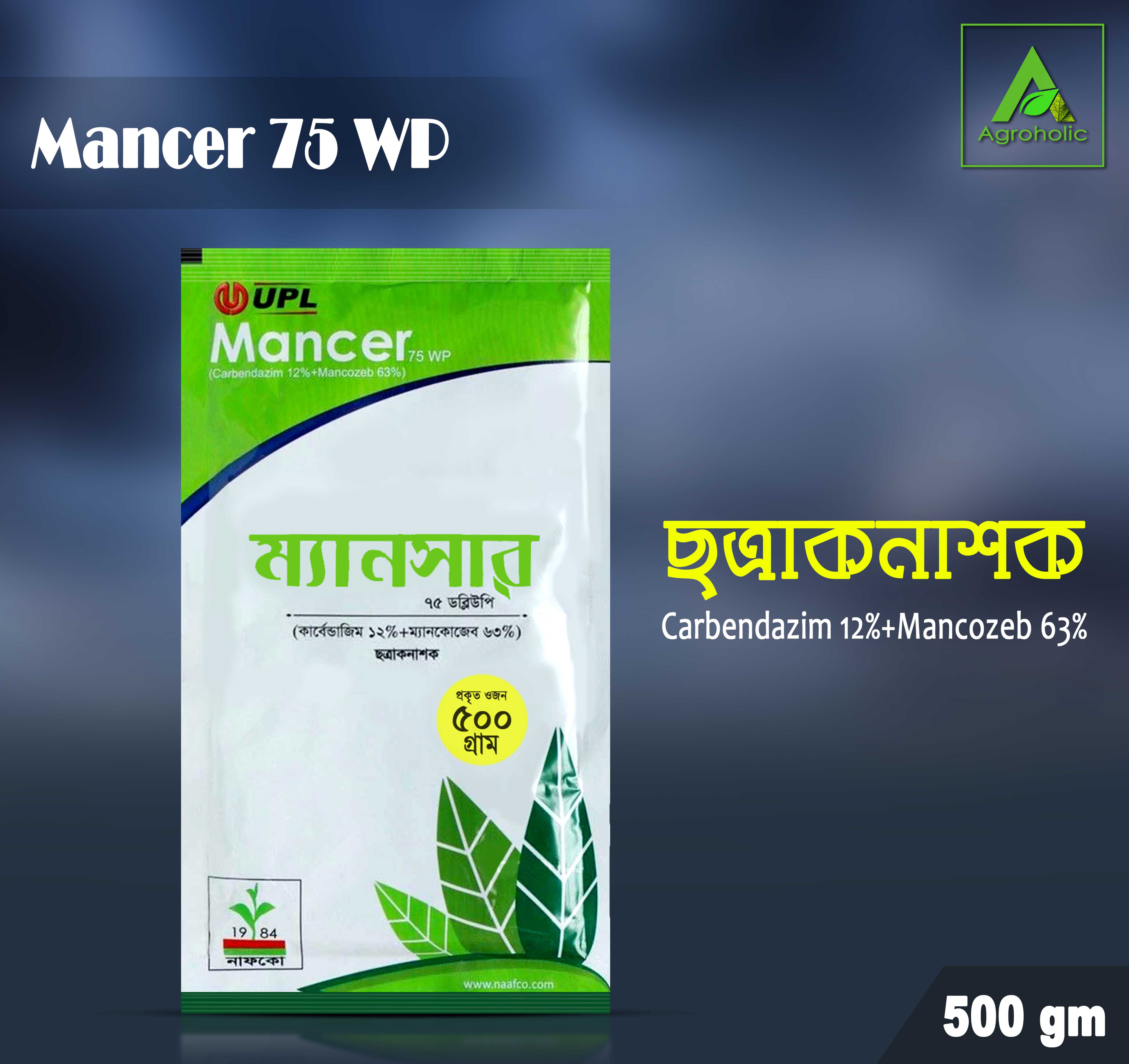 Toliq metrajli buzuq porno