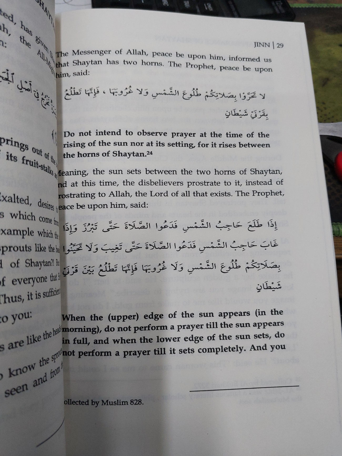 Jinn By Shaykh Dr. Muhammad Raslan. 
