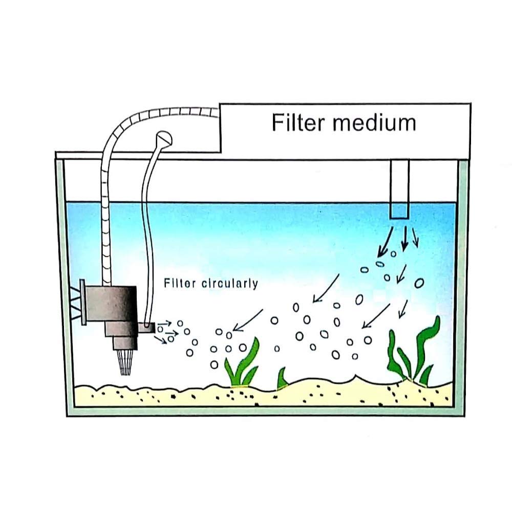 Live with Alive SOBO Aquarium Top Filter WP-1880F (Free!!! Filter Sponge 1 feet). 