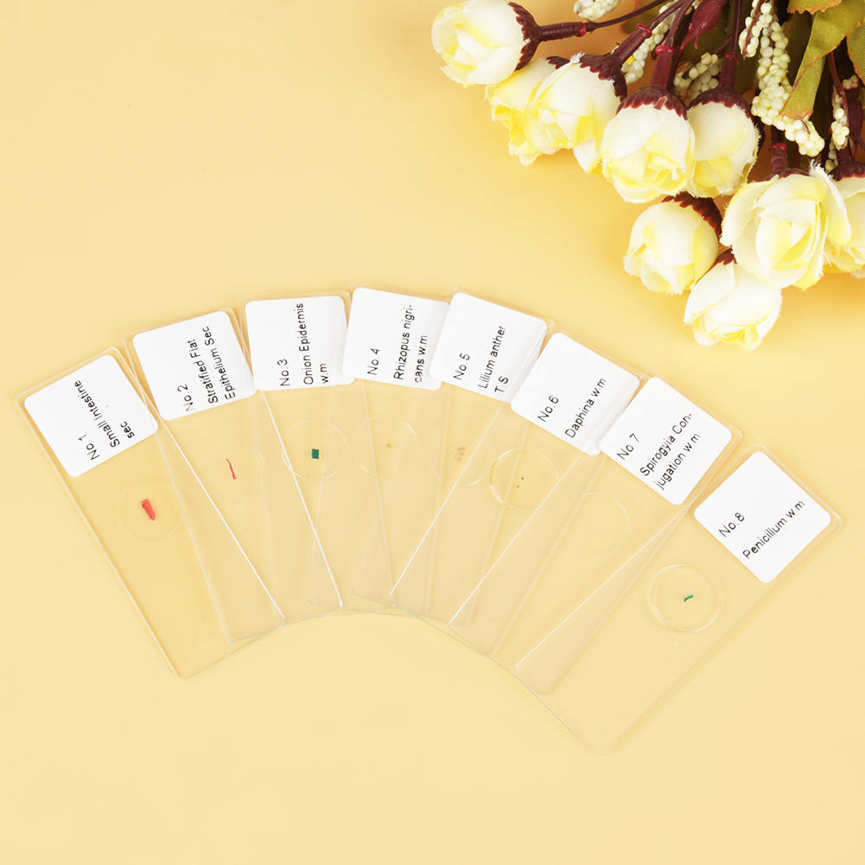 25pcs Biology Glass Prepared Microscope Slides Lab Specimens With Box DH. 