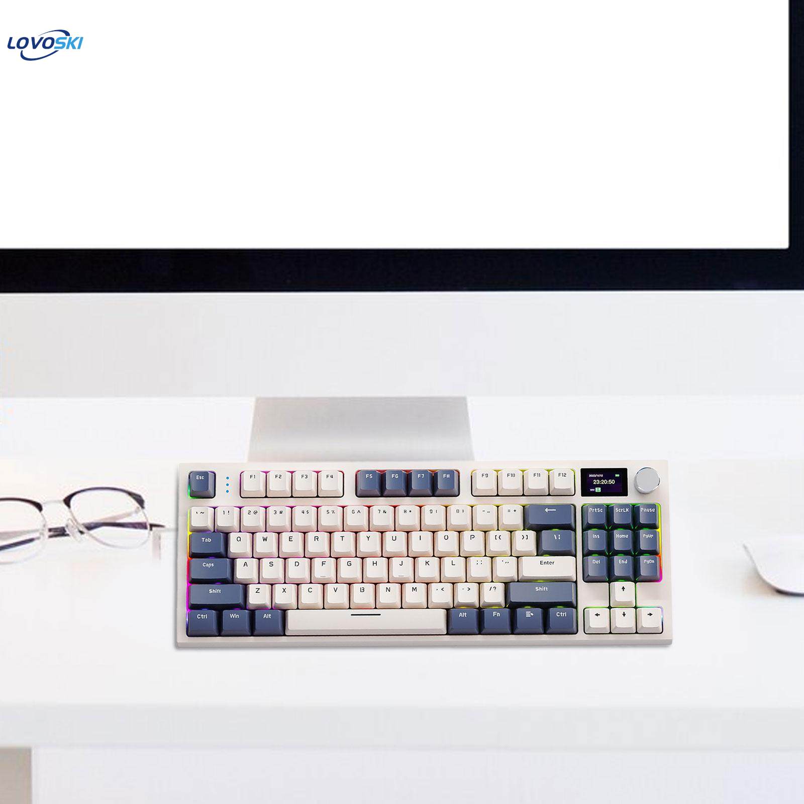 87 Keys Gaming Keyboard Hot Swappable Multipurpose Ergonomic RGB Lighting. 