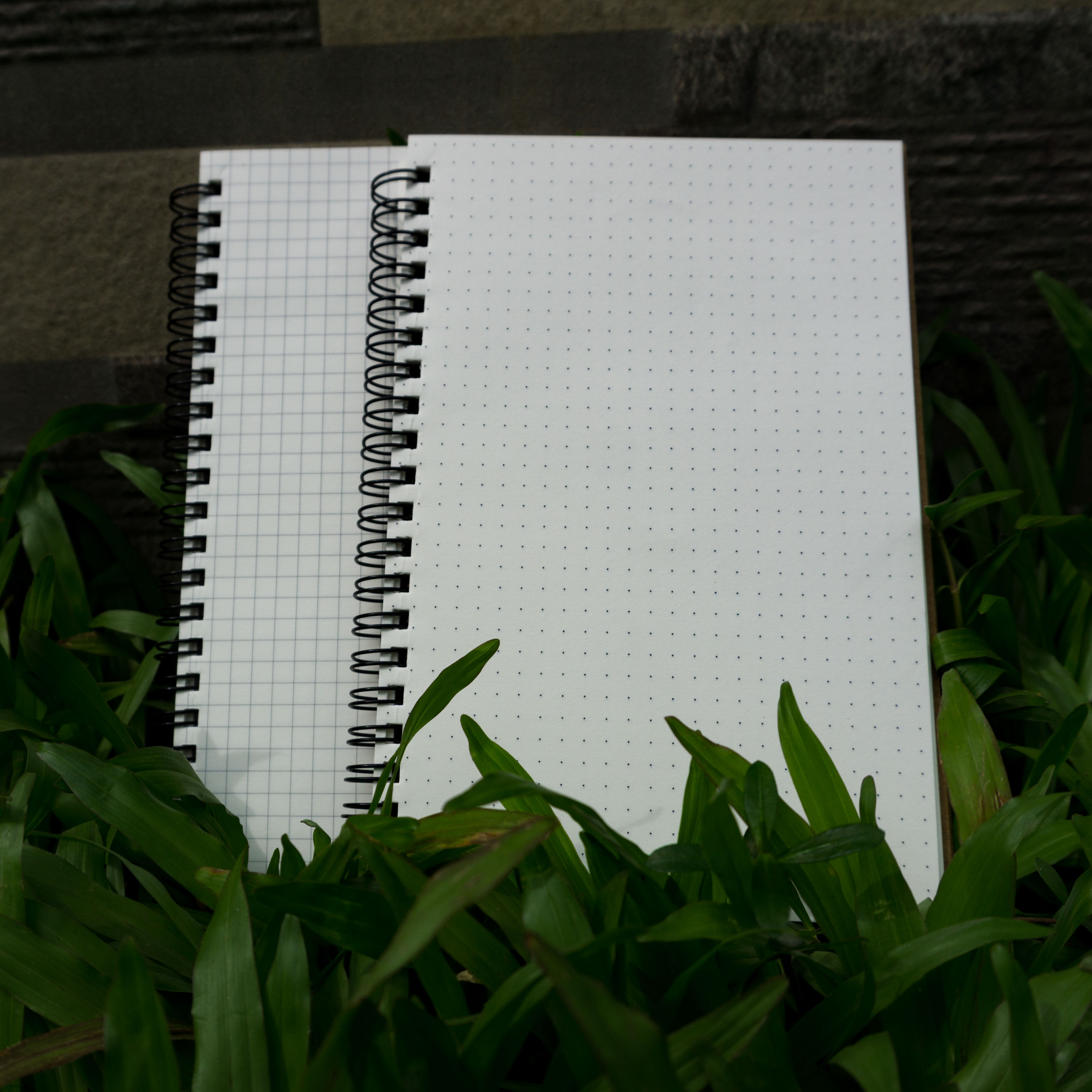 Designer Series Dot-Grid & Graph/Grid Notebook 2-Pack. 