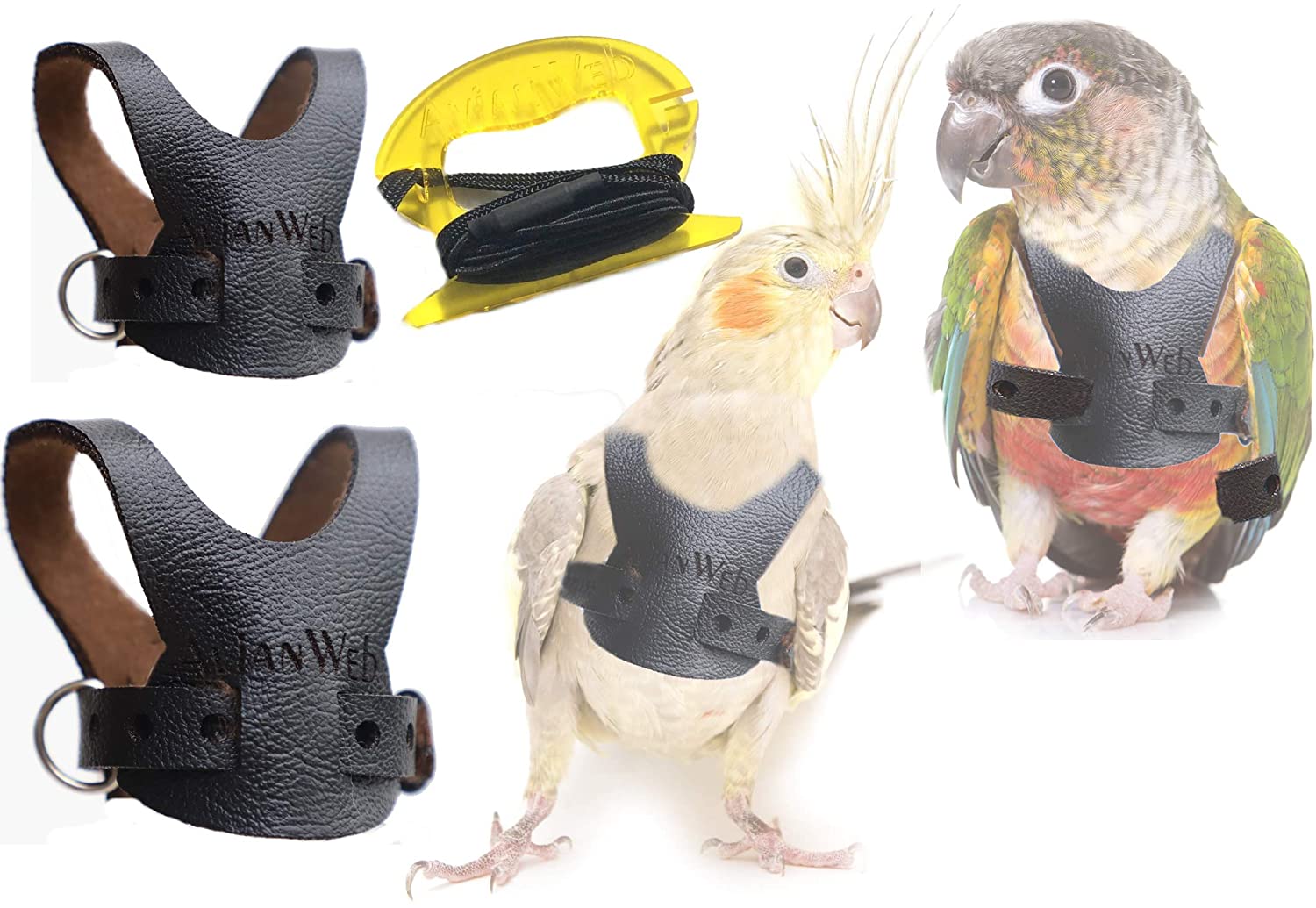Bird Harness with 2m Leash For Cockatiel & Conure. 