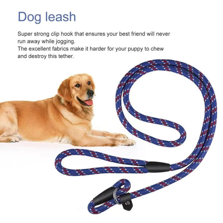 Best leash 2024 for puppy training