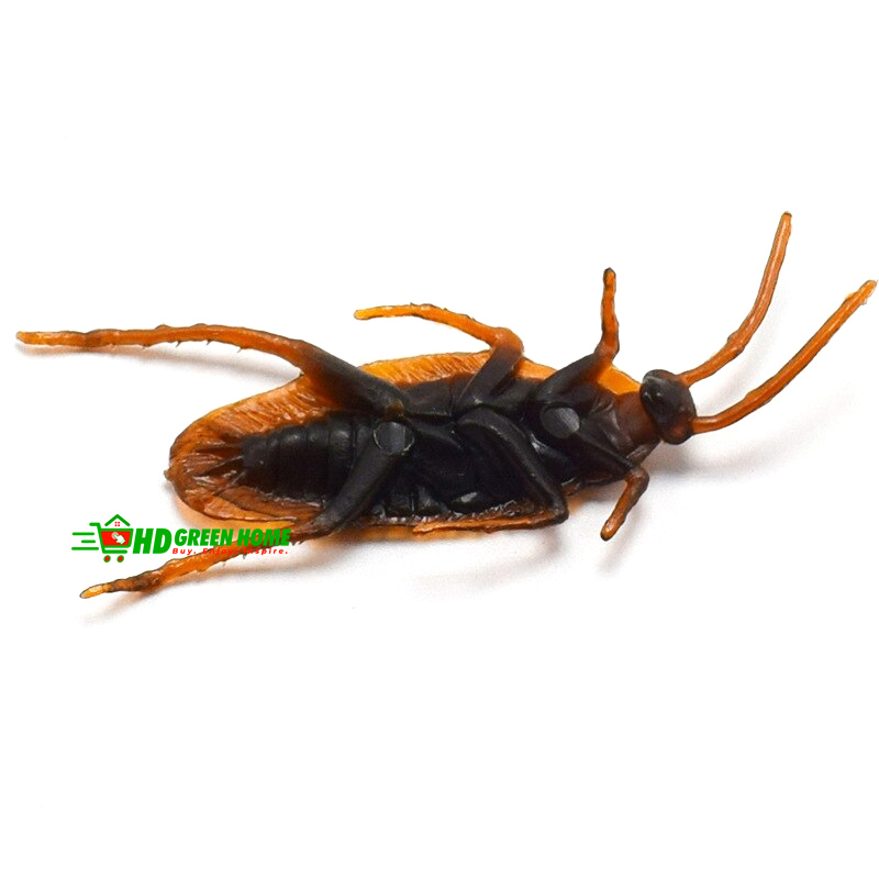5 pcs x Simulation Plastic Cockroach Toy Realistic Insect Prank Funny Toys. 