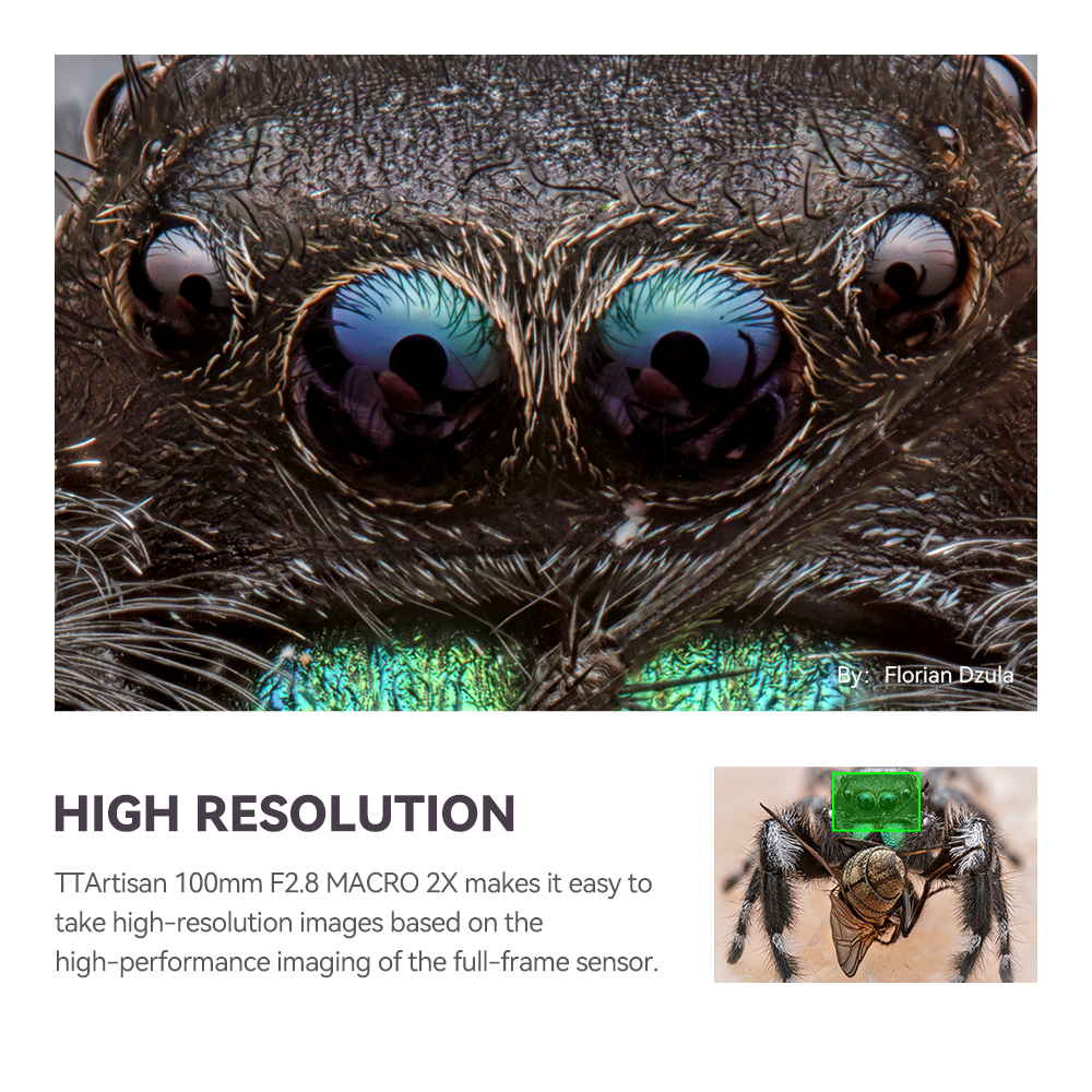 TTArtisan 100mm f2.8 MACRO 2X Full Frame Lens E / X / Z / RF / L / GFX / F / EF Mount. 