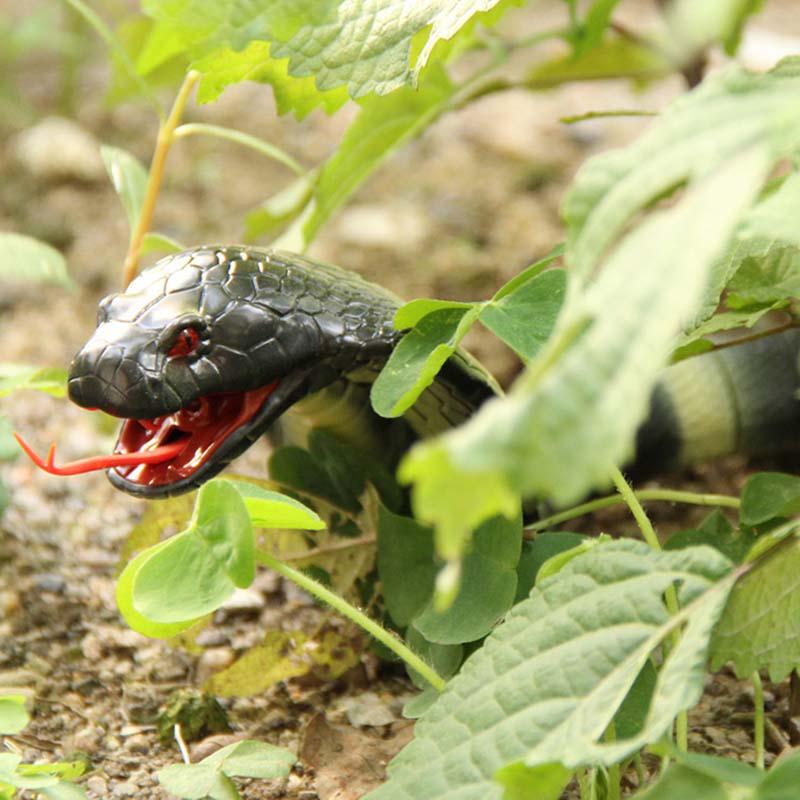 SF Lifelike Realistic Remote Control King Naja Cobra Long Range Chargeable Snake Toy #261671. 