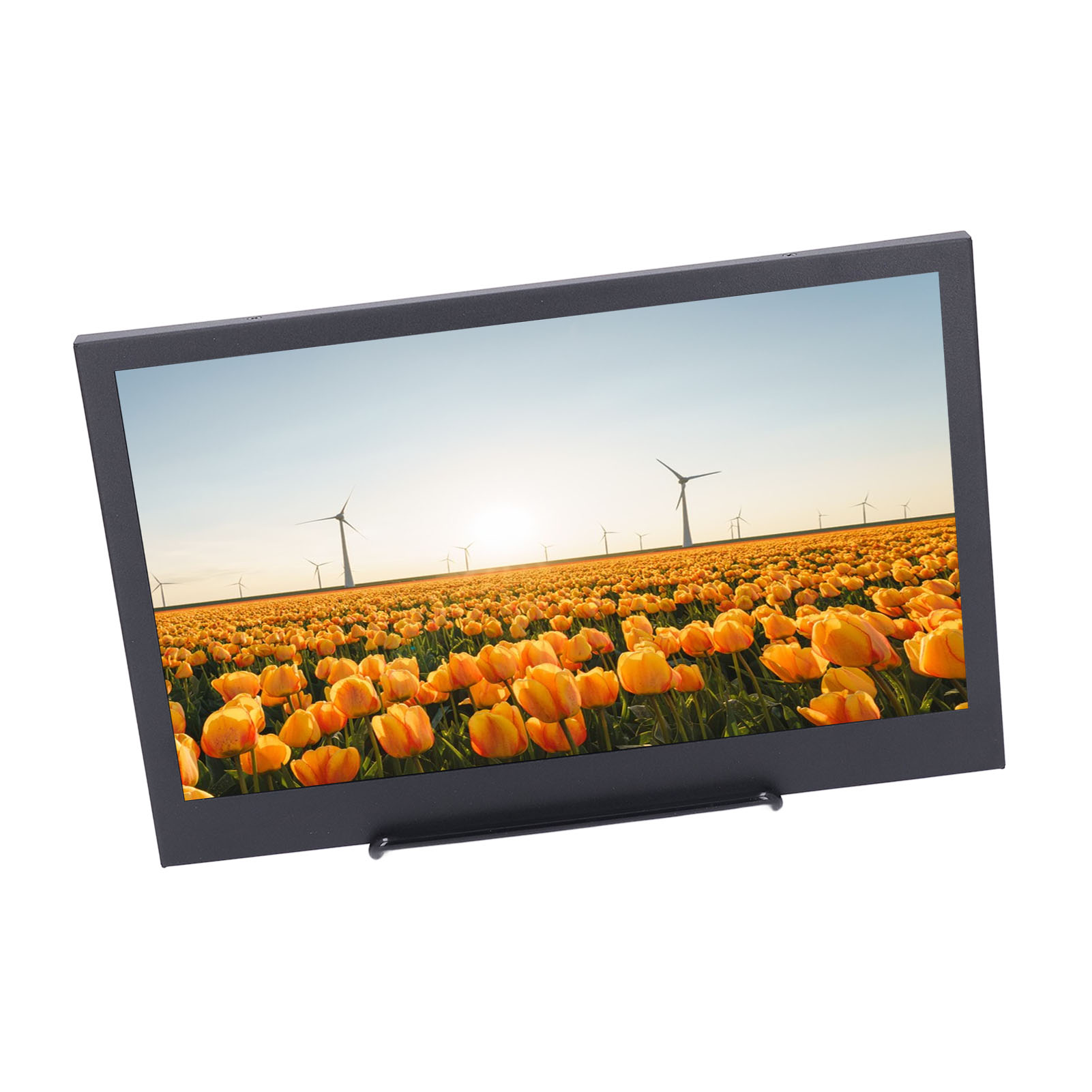 IPS Portable Screen 178 Degree Wide Angle 11.6 Inch Computer Secondary Screen for Daily Entertainment