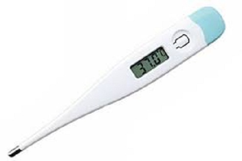 Digital Thermometer Replaceable Battery. 