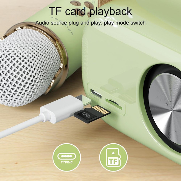 Wireless Microphone Speaker System Rechargeable Bluetooth Mics Speaker For Home. 