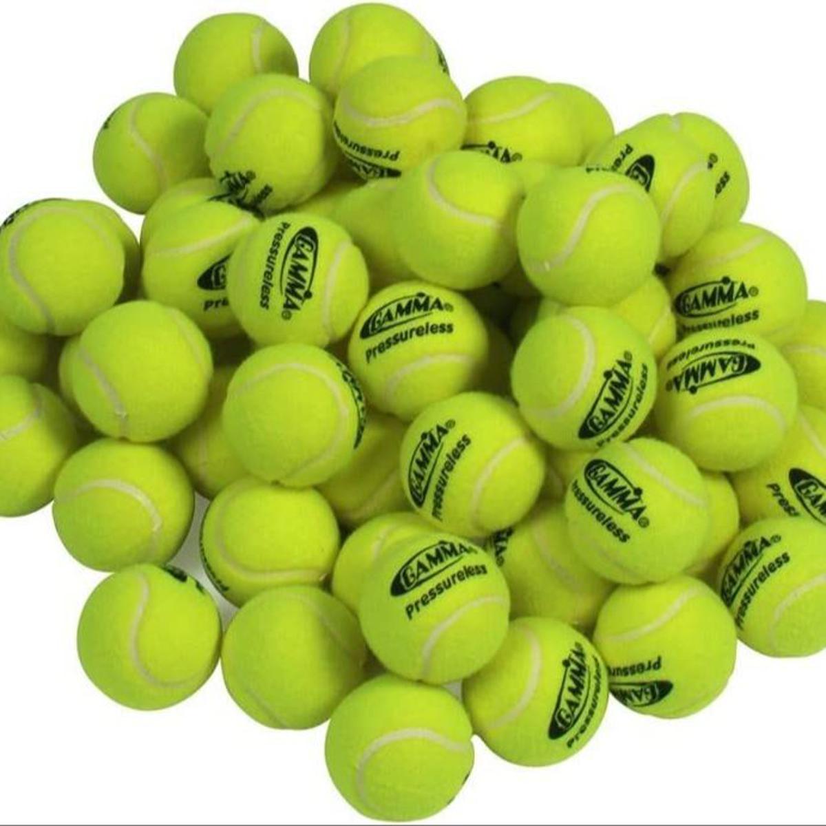 Buy Racket Sports Gear at Best Prices in Bangladesh 2024
