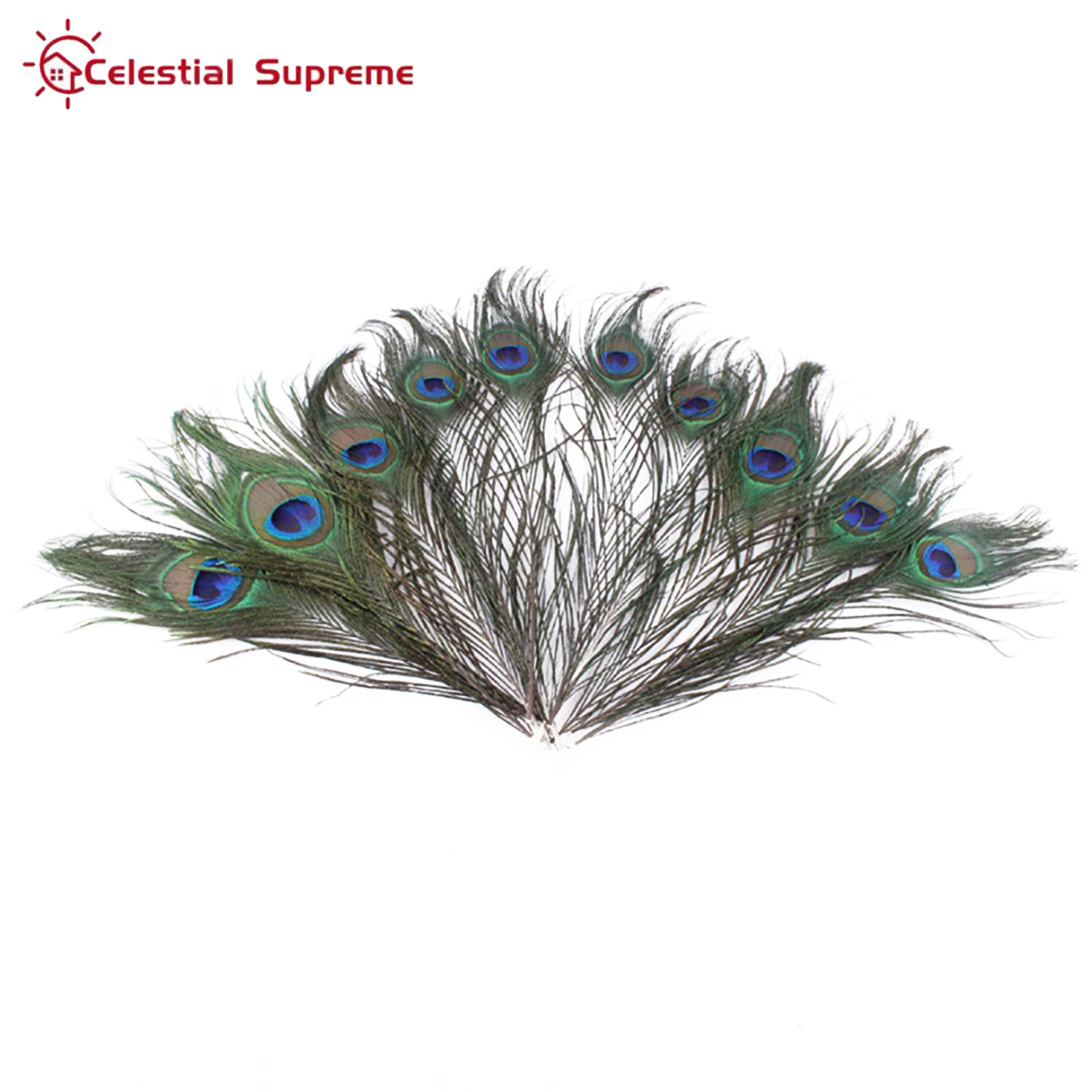 Peacock Tail Feathers Unique Peacock Body Feathers