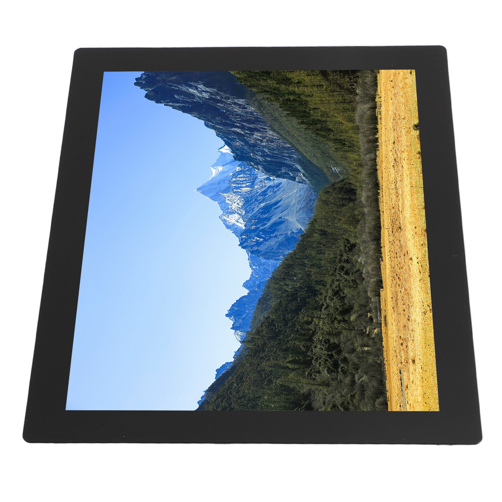 8 In IPS LCD Capacitive Touchscreen 768x1024 Resolution 6H Hardness 10 Point New. 