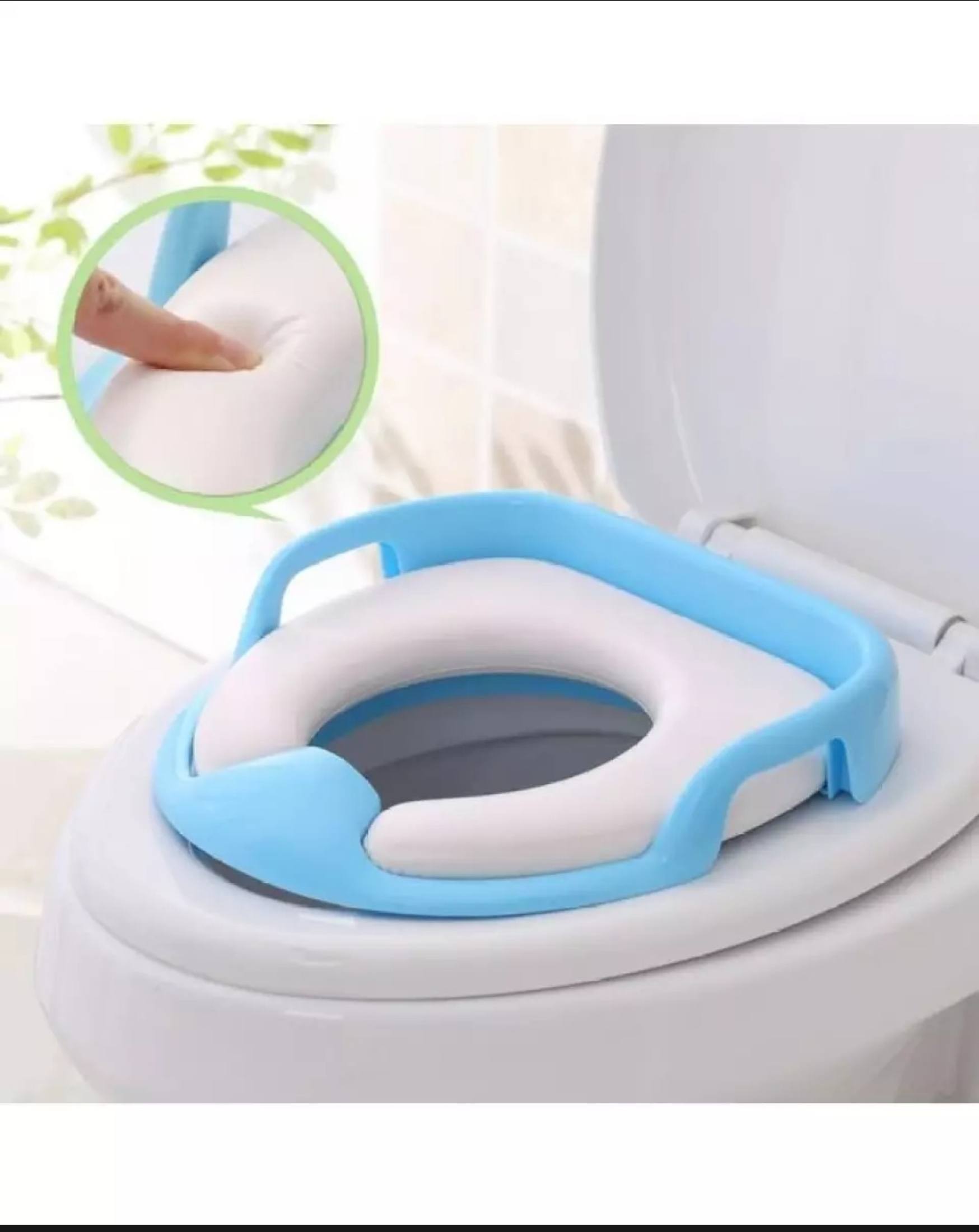 chicco potty seat