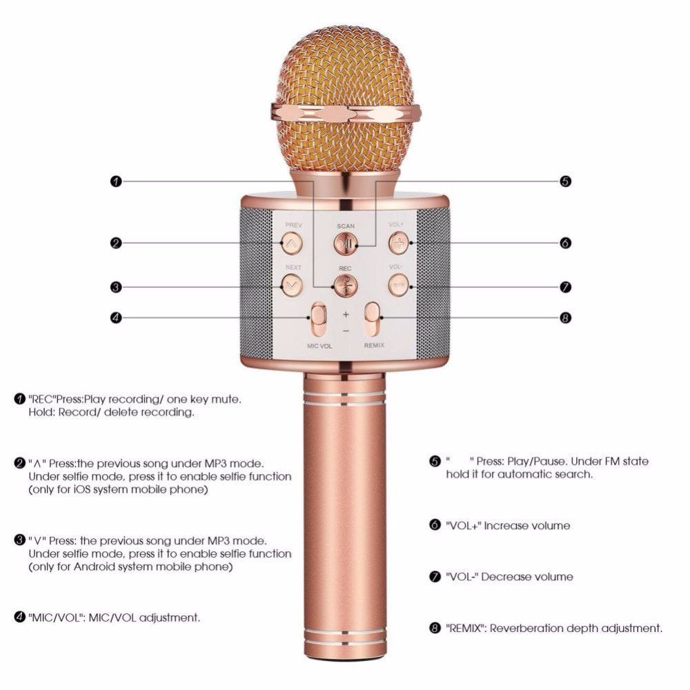 Wireless Bluetooth Microphone Speaker Karaoke WS-858. 
