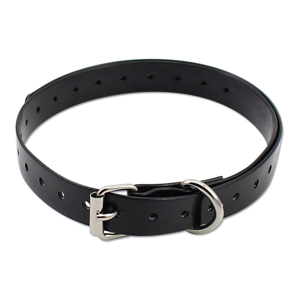 Petrainer 998DB and iPets 619 s Black  collar. 