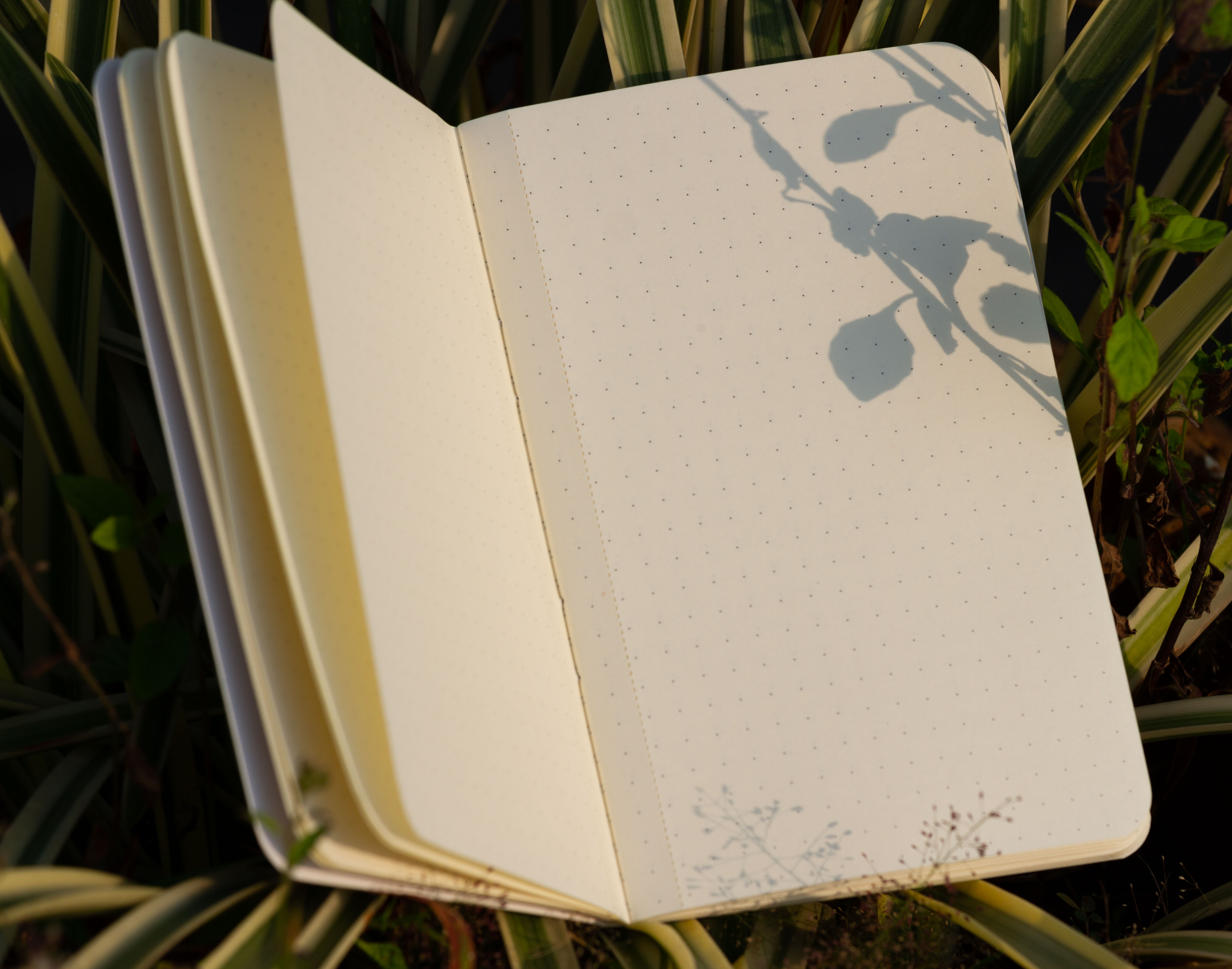 Dhaka Travel Size Dotted Graph Notebook (Sn202008122) - Notebook - notebook. 